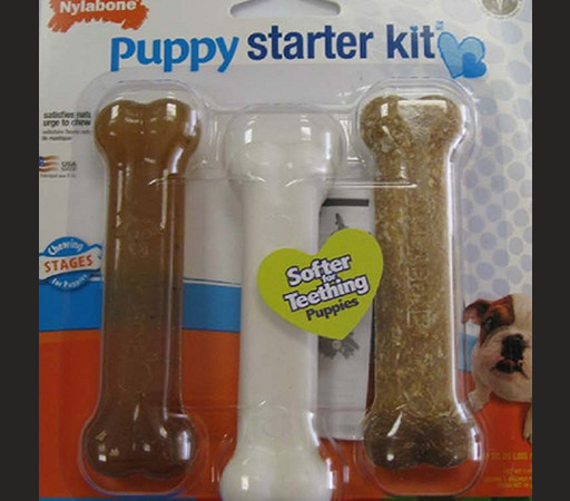 Nylabone Puppy Starter Kit Recall