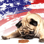 American made jerky treats tied to illness in dogs