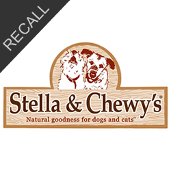 Stella & Chewy’s Pet Food Recall