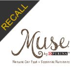 Muse Recall | March 2019