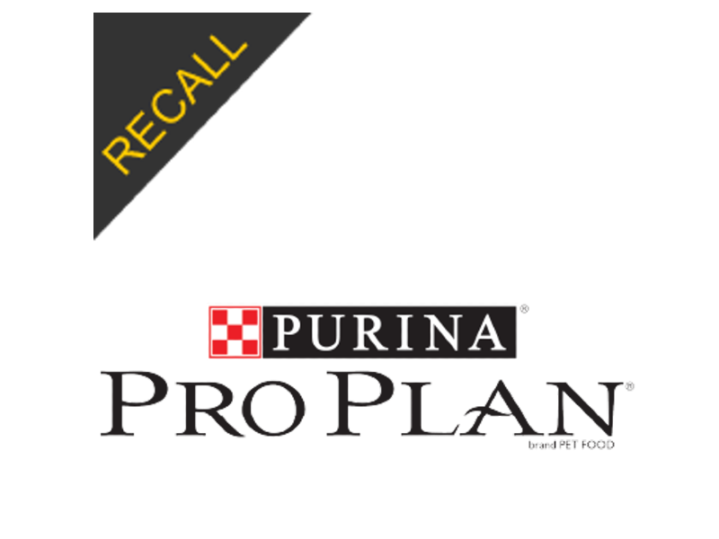 Purina Cat Food Recall 2024 Buffy Ethelyn